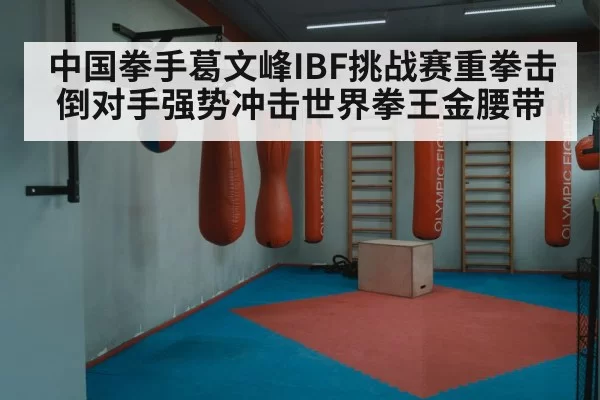 中国拳手葛文峰IBF挑战赛重拳击倒对手强势冲击世界拳王金腰带