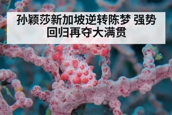 孙颖莎新加坡逆转陈梦 强势回归再夺大满贯